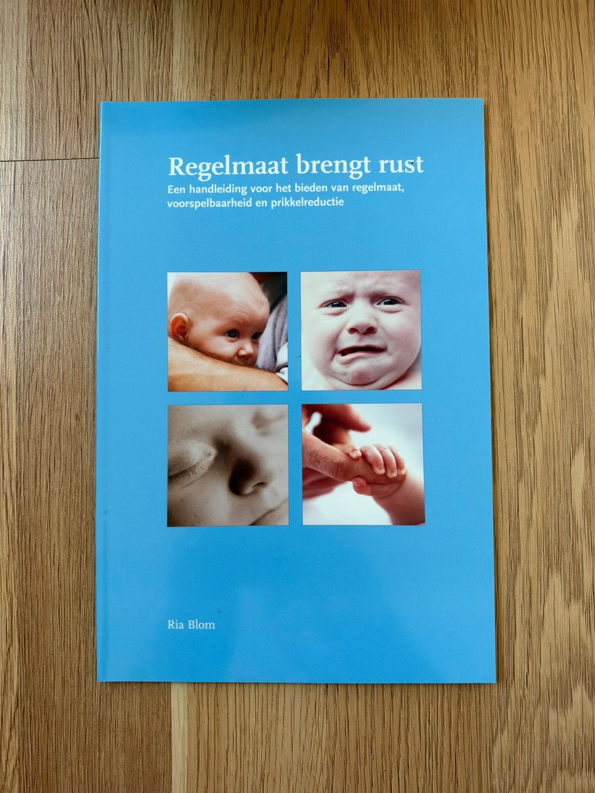 Regelmaat brengt rust – Ria Blom, Boeken, Ophalen, Zo goed als nieuw