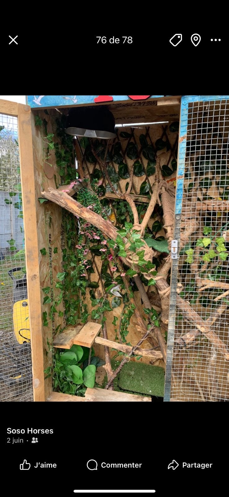 Prachtig leguaanterrarium, Dieren en Toebehoren, Ophalen