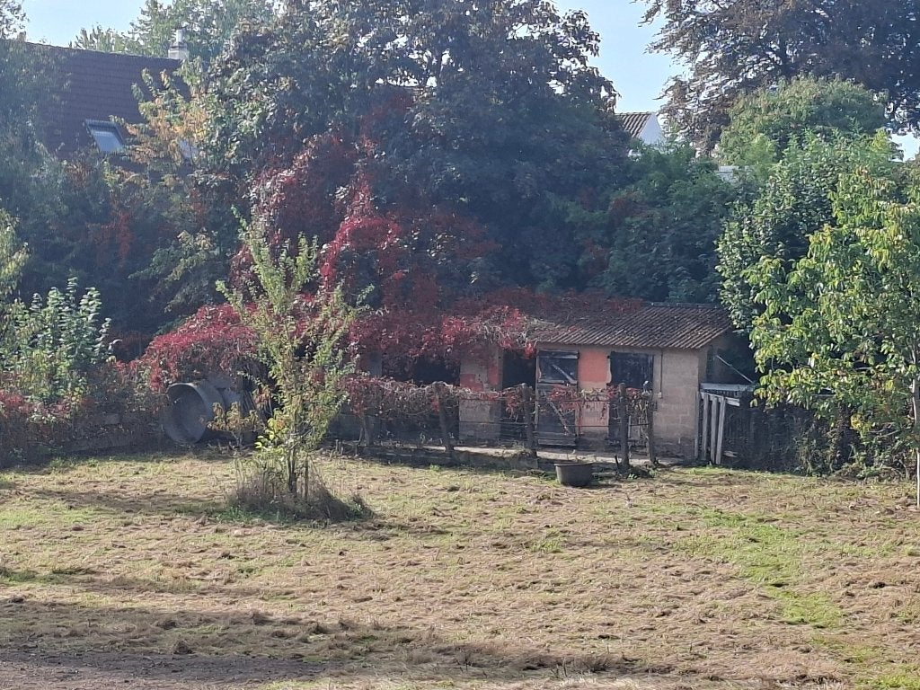 Weide te huur schapen of paarden (approx 4000m2)  in Ohain, Dieren en Toebehoren, Stalling, 2 of 3 paarden of pony's