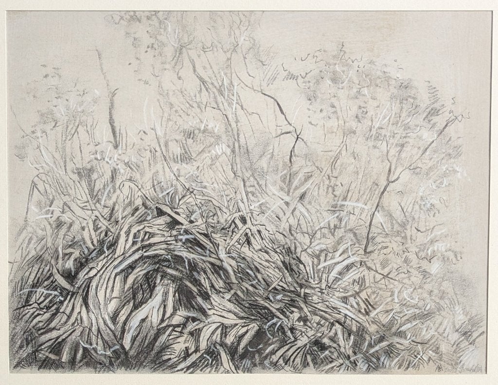 Dessin - Paysage avec herbes - cadre — Michel Bracke, Enlèvement ou Envoi, Dessin, Technique mixte, Sous verre