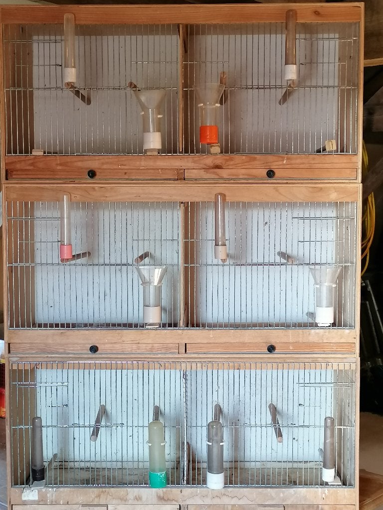 Vogels, hokken en kooien, Enlèvement, Utilisé, Bois, Cage d'élevage