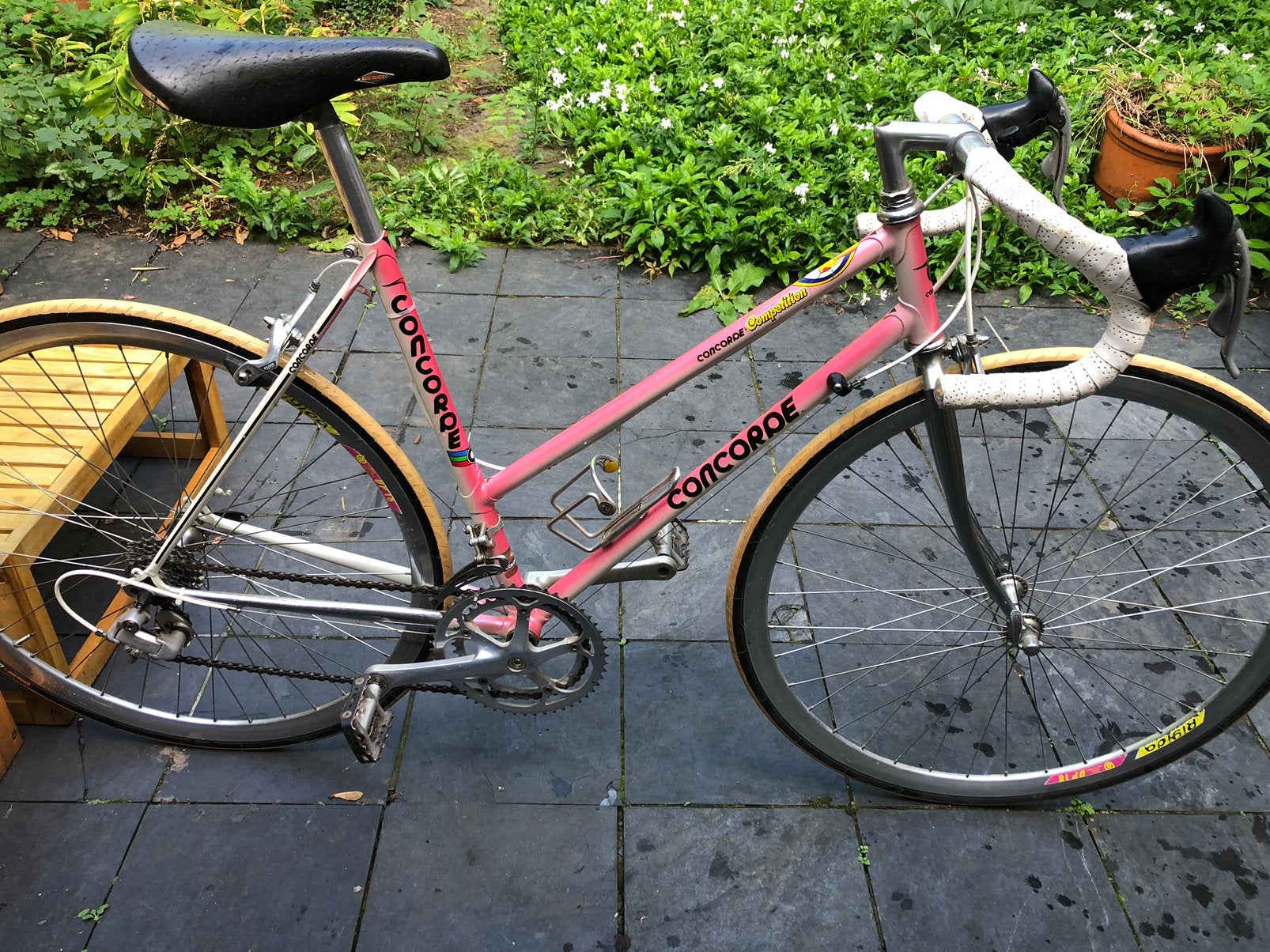 Concorde Competition dames, Ophalen, Dames