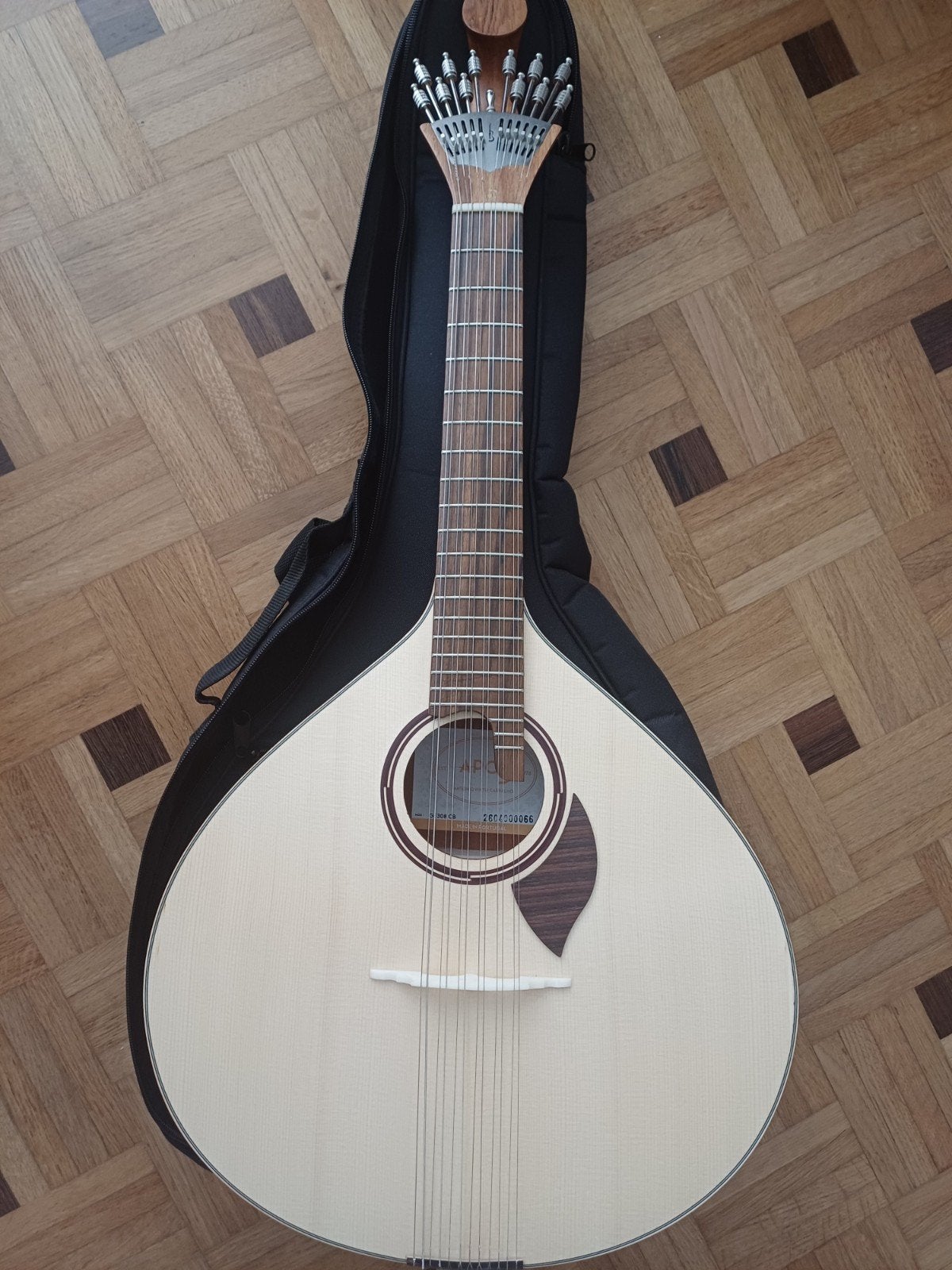 Coimbra GD308 Portugese gitaar, Ophalen, Nieuw, Overige typen