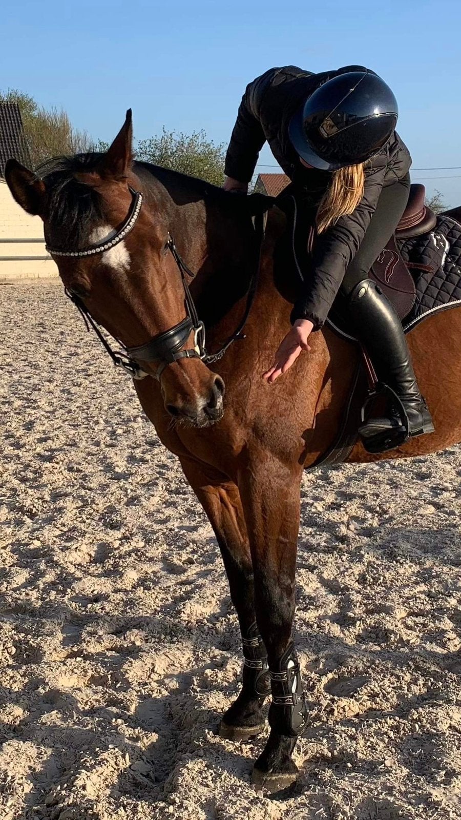 Ruiter zoekt paard