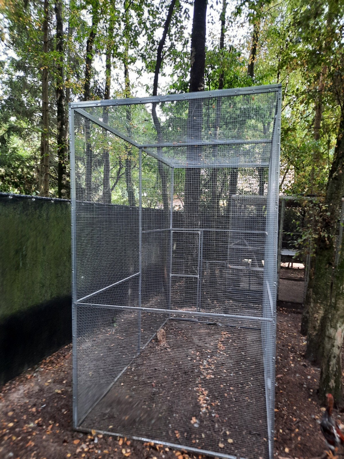 voliere 3m op 1,5m op 2.5m hoog, Dieren en Toebehoren, Vogels | Toebehoren, Ophalen, Nieuw, Kooi-accessoires
