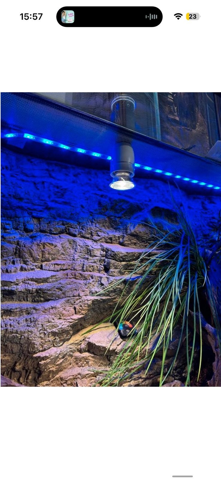 Terrarium, Enlèvement ou Envoi, Comme neuf