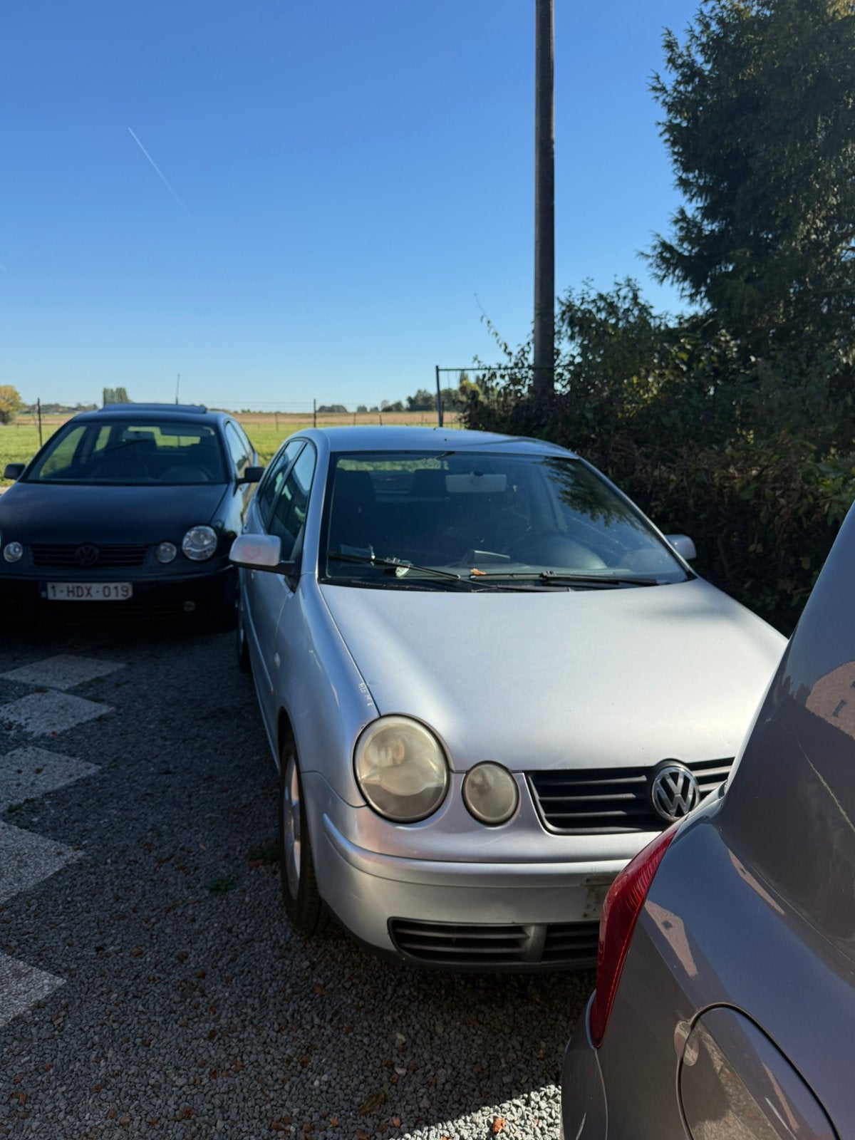 polo 1.2 (papier rose)/2cle, Autos, Achat, 5 portes, Particulier, Polo