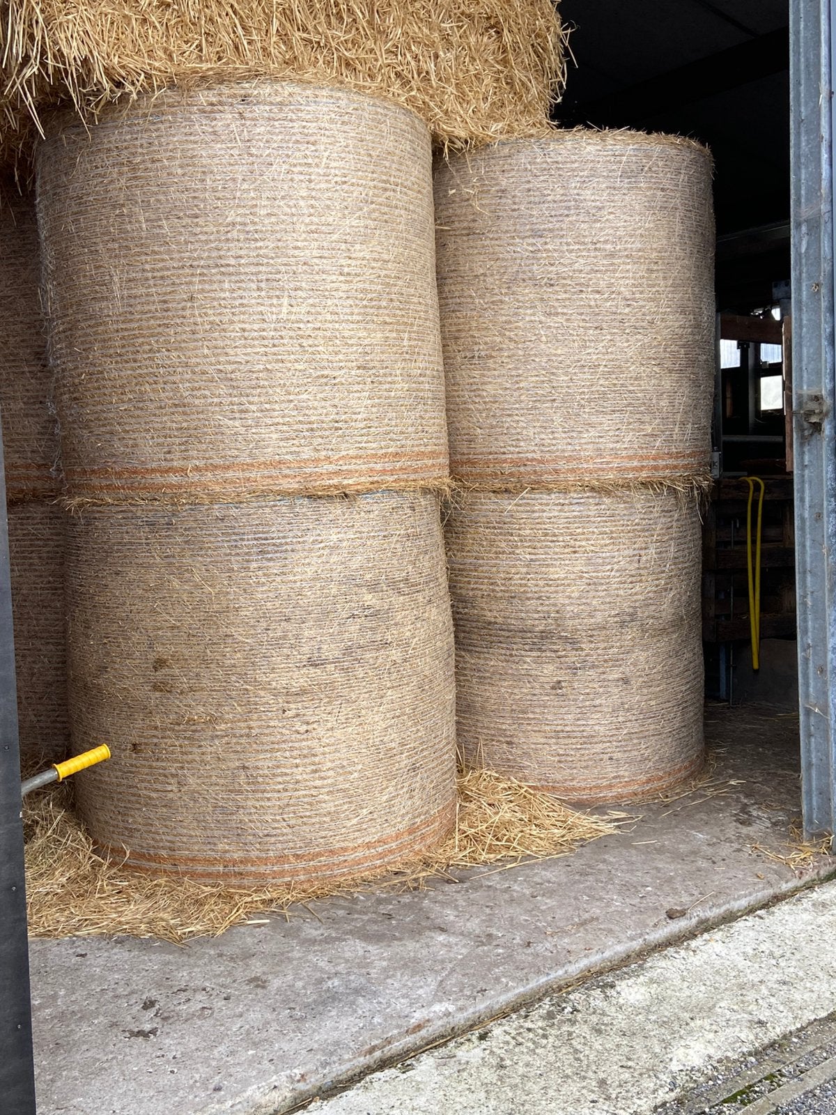 Hooi te koop, Dieren en Toebehoren, Ophalen