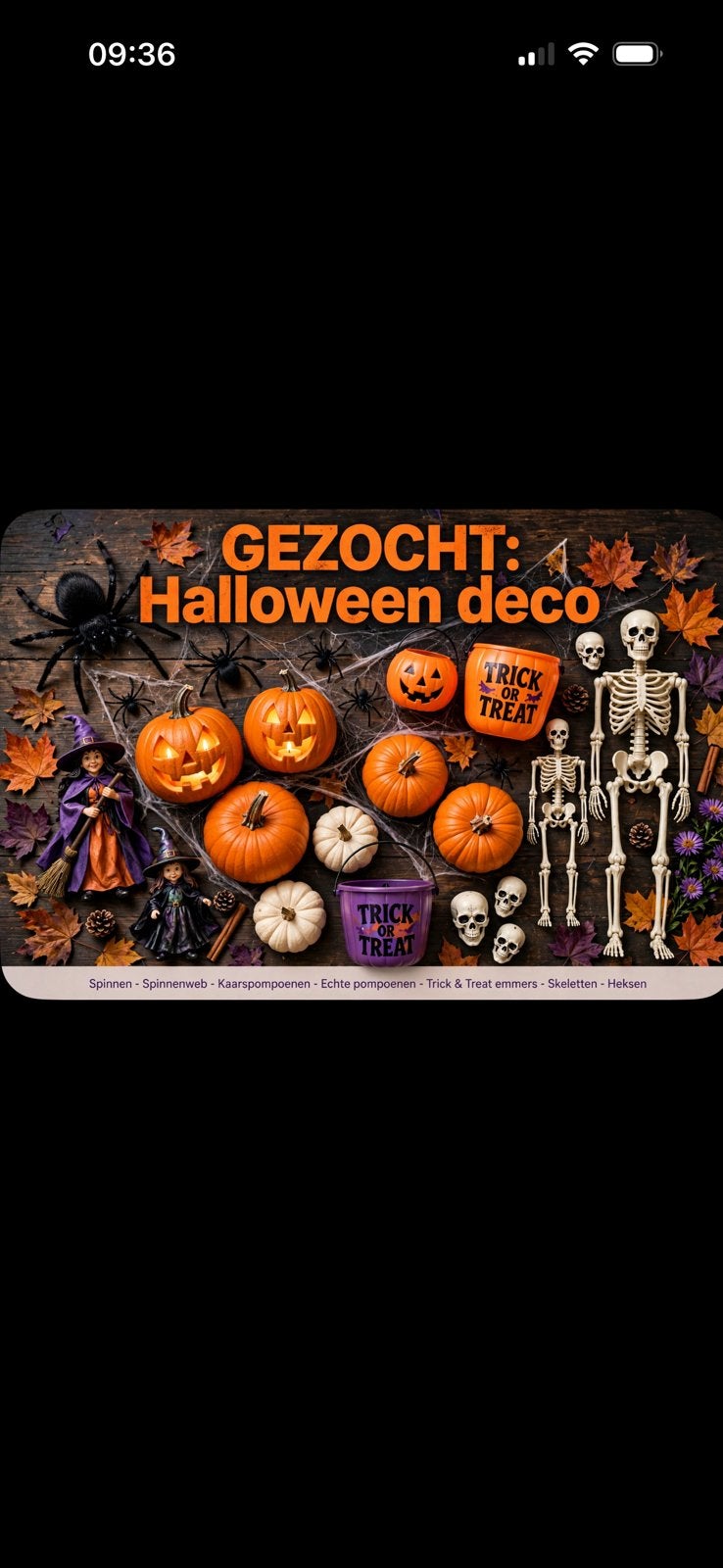Gezocht: Halloween deco, Ophalen