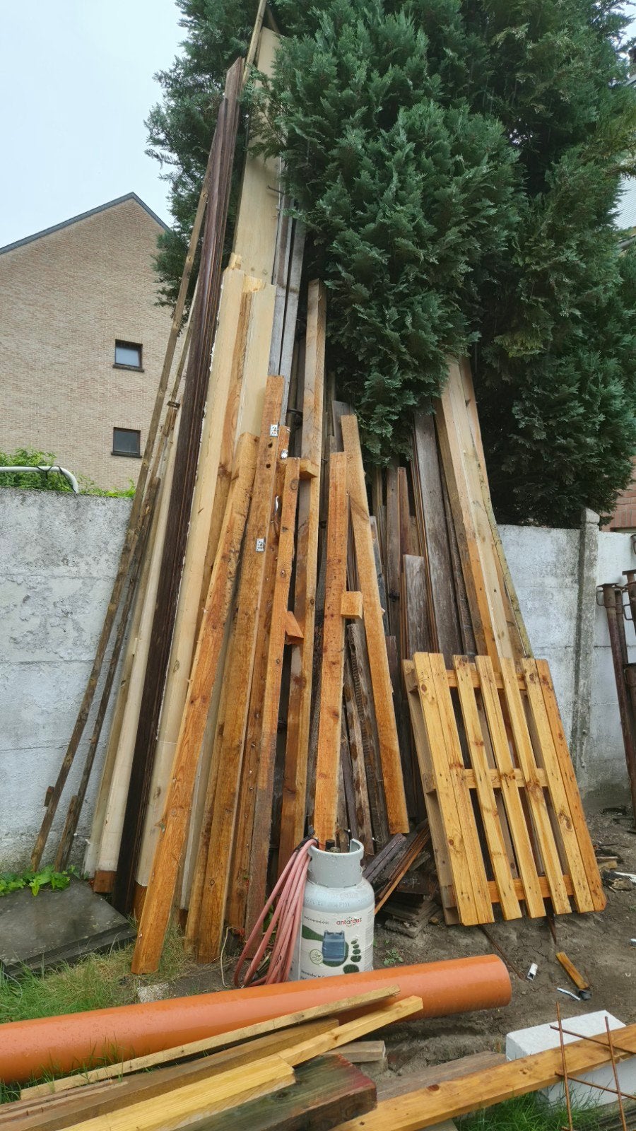 bois a donner, Enlèvement
