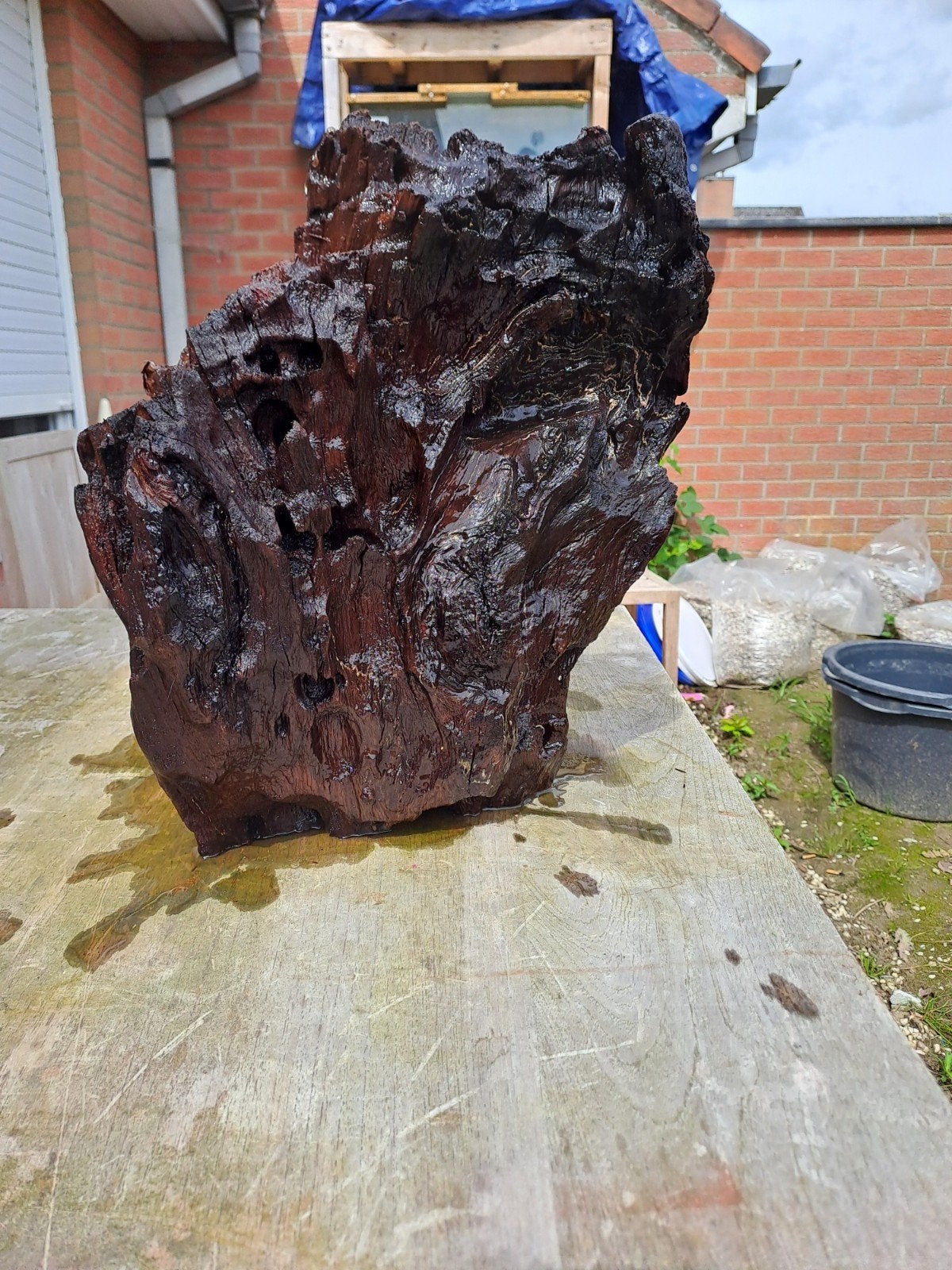 Kienhout of mangrovehout, Dieren en Toebehoren, Ophalen