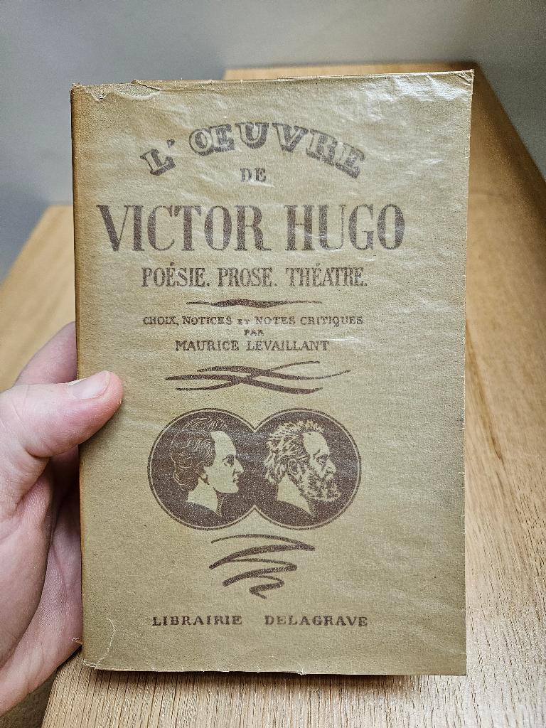 L'œuvre de Victor Hugo - Maurice Levaillant, Enlèvement ou Envoi