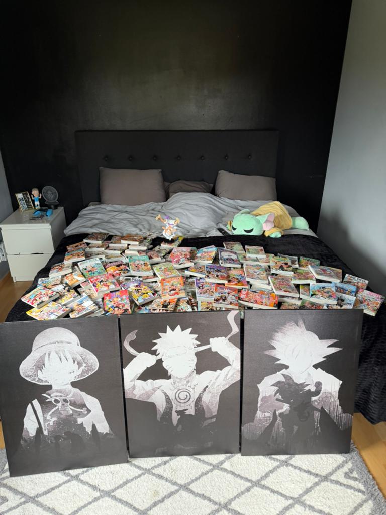 Integrale One Piece ! 112 tome + 1 jaquette collector, Livres, Série complète ou Série, Comme neuf, Enlèvement, Europe
