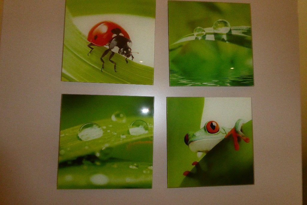4 kaders in glas, Huis en Inrichting, Minder dan 50 cm, Nieuw, Ophalen of Verzenden, Foto of Poster