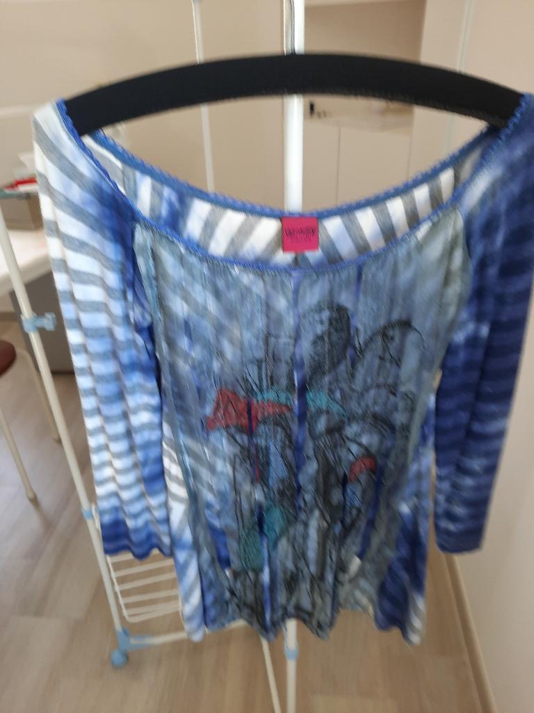 teeshirt impeccable, Kleding | Dames, Schoenen, Desigual, Ophalen, Gedragen, Blauw