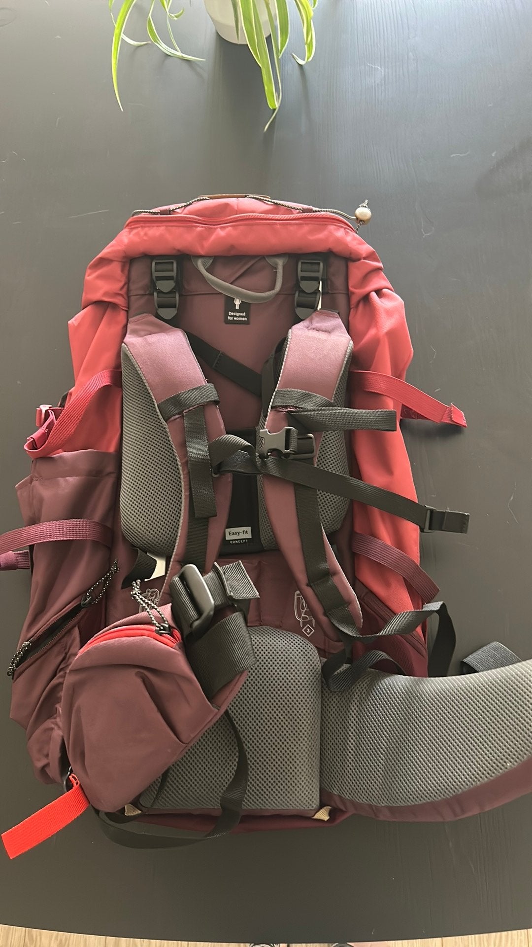 Forclaz trekkingsrugzak 50l dames, Ophalen, Nieuw