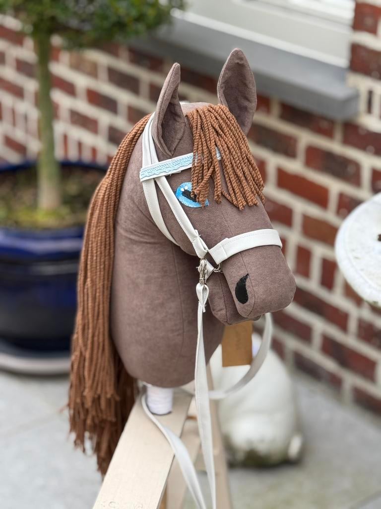 Cassi is een hobby horse, Hobby en Vrije tijd, Ophalen