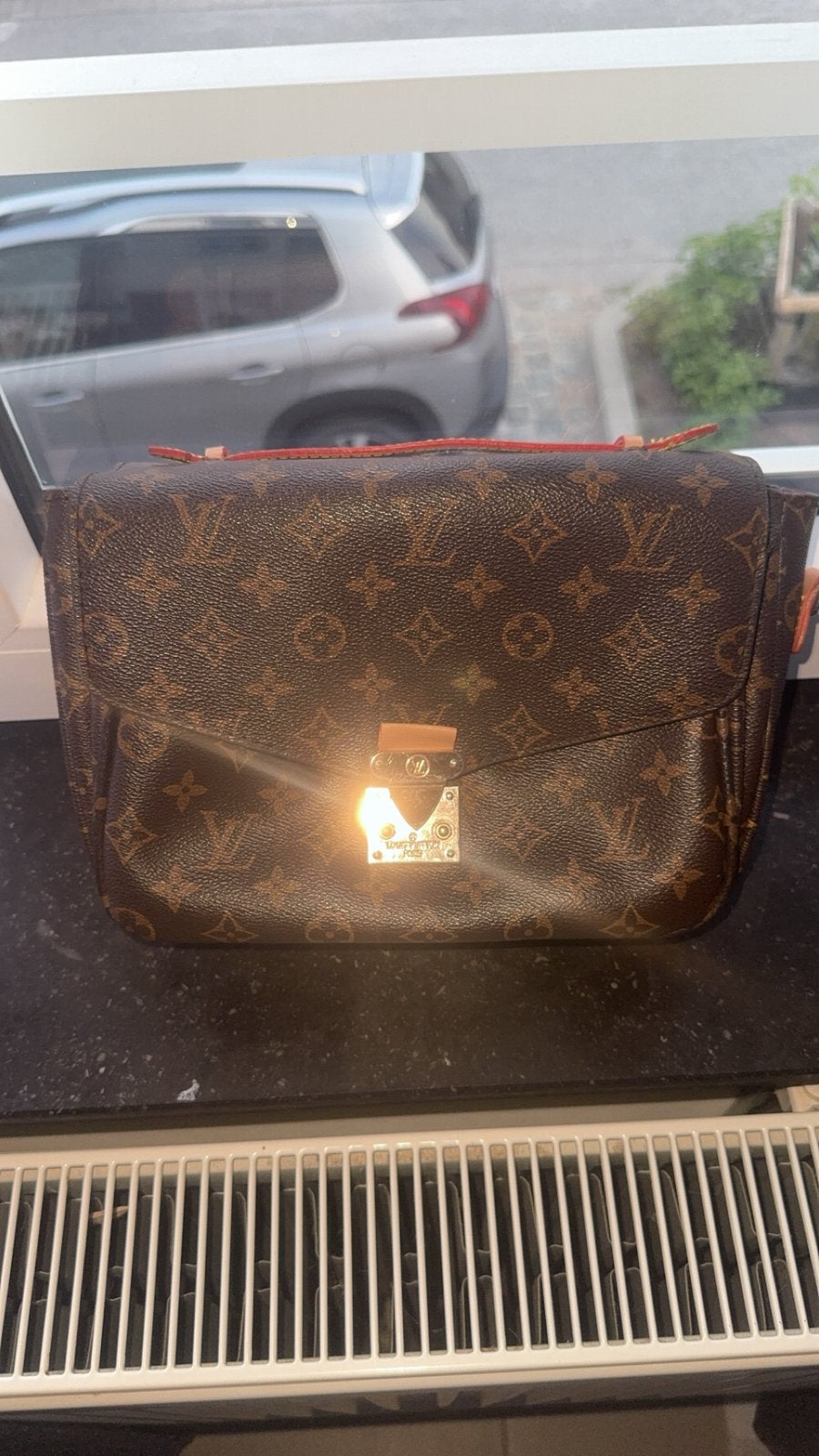 Louis vuitton pochette, Animaux & Accessoires, Reptiles & Amphibiens | Accessoires, Envoi, Utilisé
