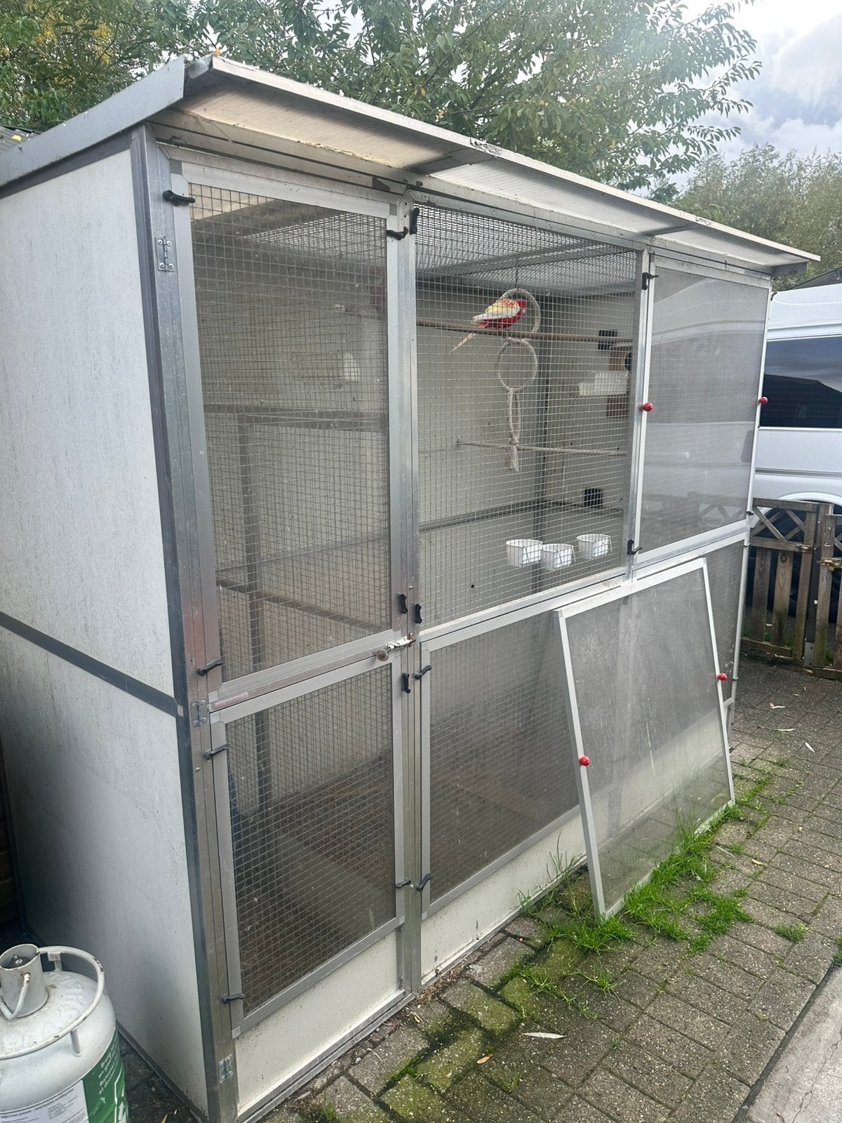 Rosellas avec volière, Animaux & Accessoires, Enlèvement, Utilisé, Volière
