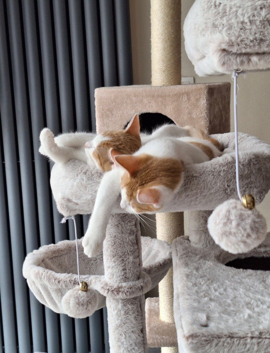 krabpaal 135cm zo goed als nieuw, Animaux & Accessoires, Meubles griffoirs pour chats, Enlèvement, Griffoir