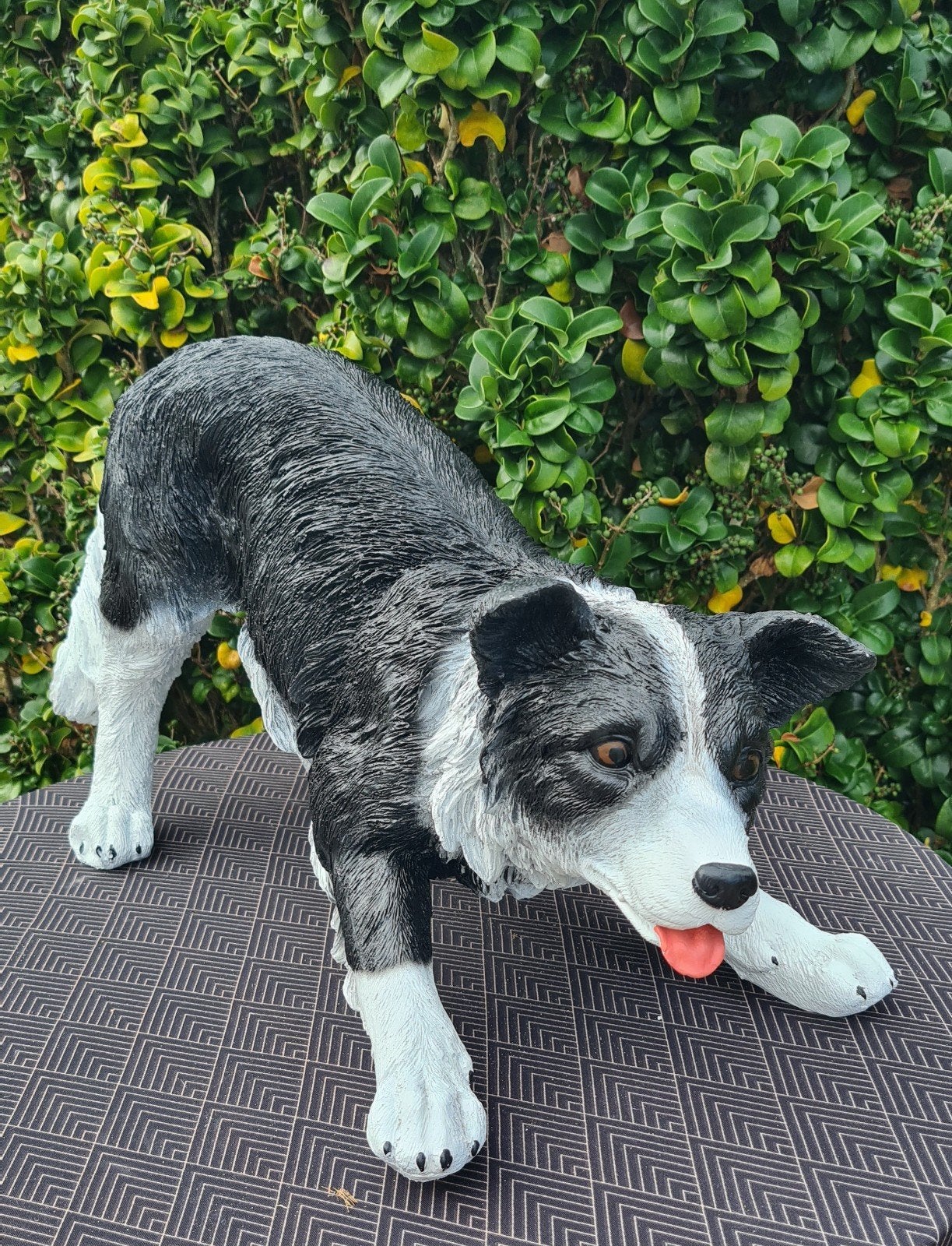 Border collie tuinbeeld, Ophalen, Nieuw, Kunststof, Dierenbeeld