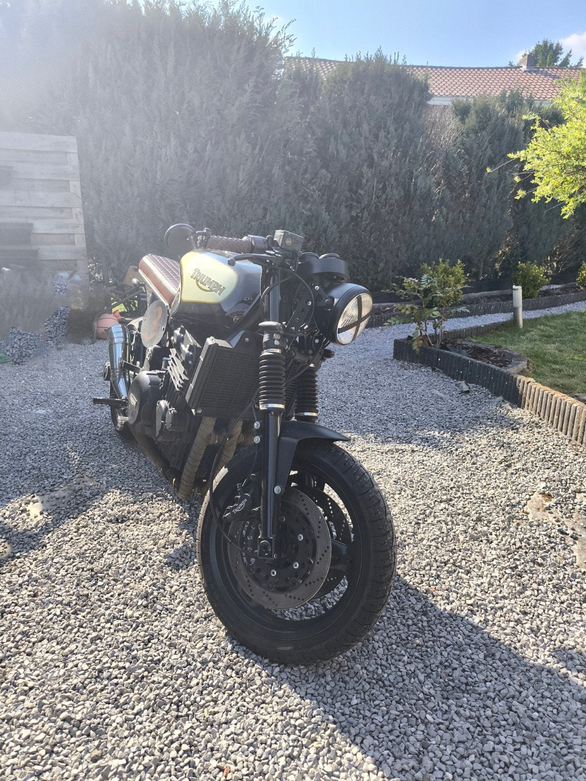 Triumph café racer, Motoren