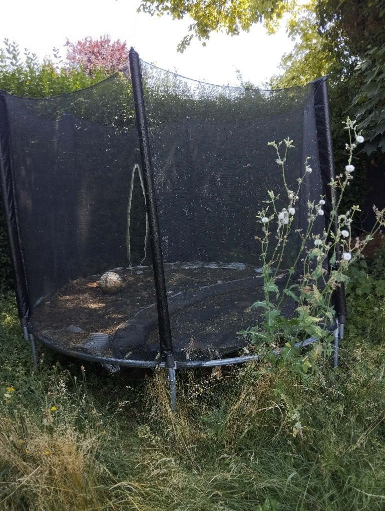 trampoline, Ophalen, Gebruikt, Vampira1804@hotmail.com, Trampoline