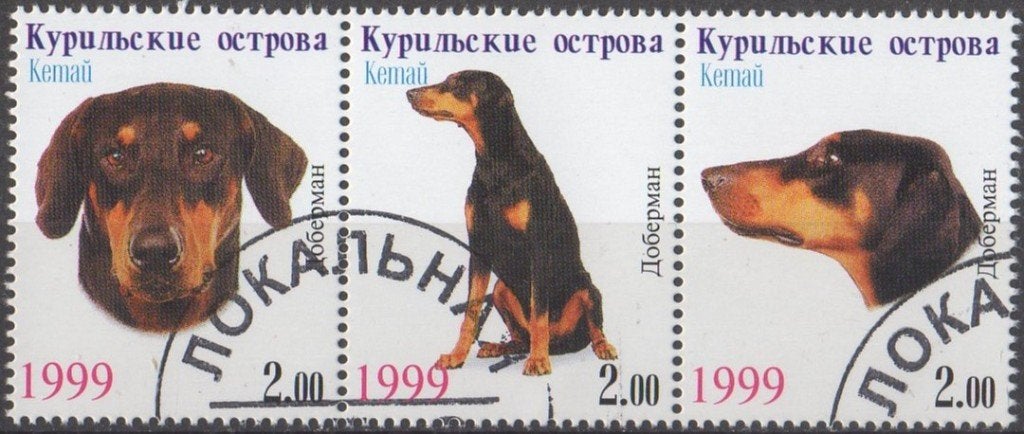 Koerilen - Honden - Dobermann - Illegale fantasieuitgiften, Envoi, Affranchi