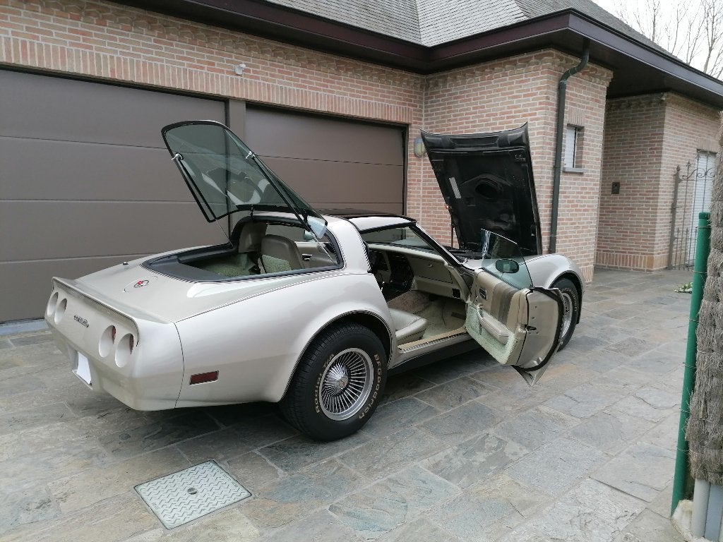 Corvette 1982 Collector Edition, foto 6