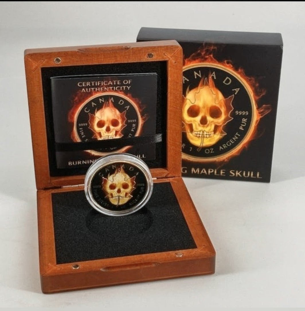 Canada 1 oz Silver "Burning Skull", Ophalen of Verzenden, Goud