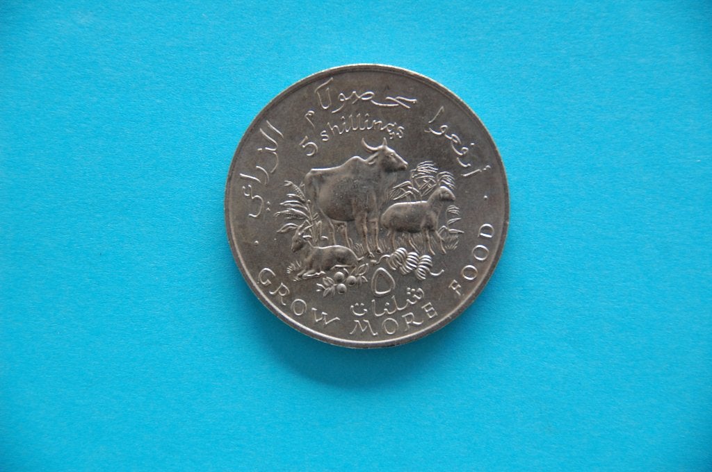 SOMALIA : 5 Shillings 1970 , XF, Verzenden, Losse munt