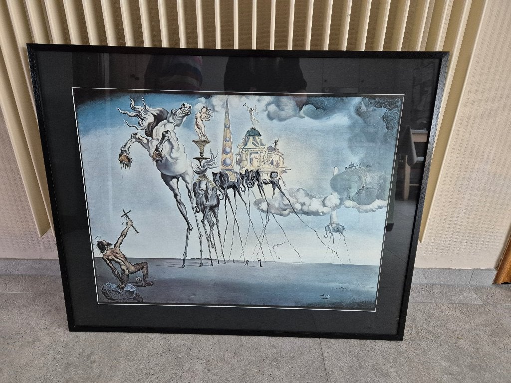 Kunstposter Dali + kader, Ophalen, Gebruikt, 100 tot 125 cm, Foto of Poster