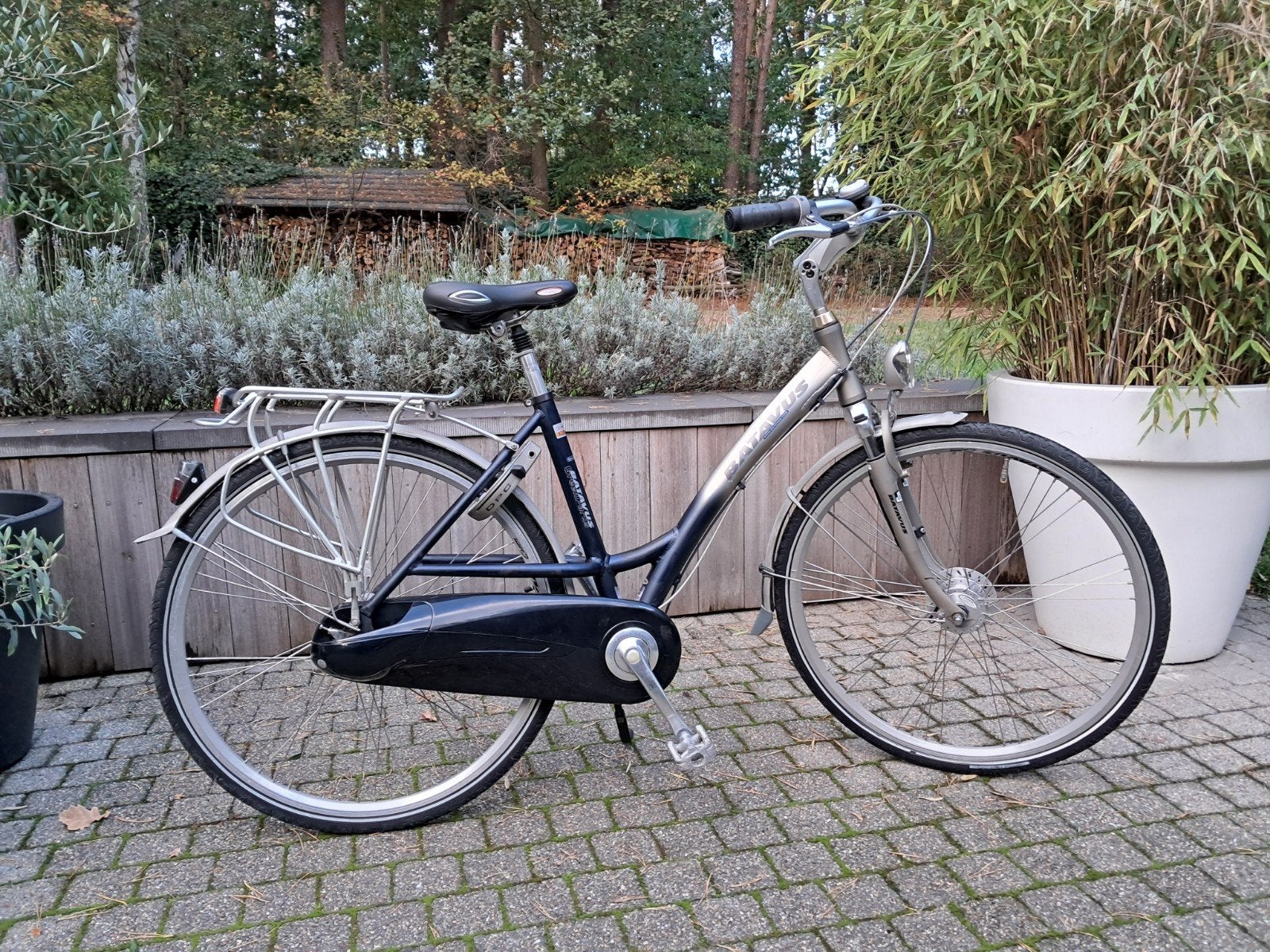 topstaat damesfiets Batavus Green Parks, Fietsen en Brommers, Ophalen, 47 tot 50 cm, Versnellingen, Batavus