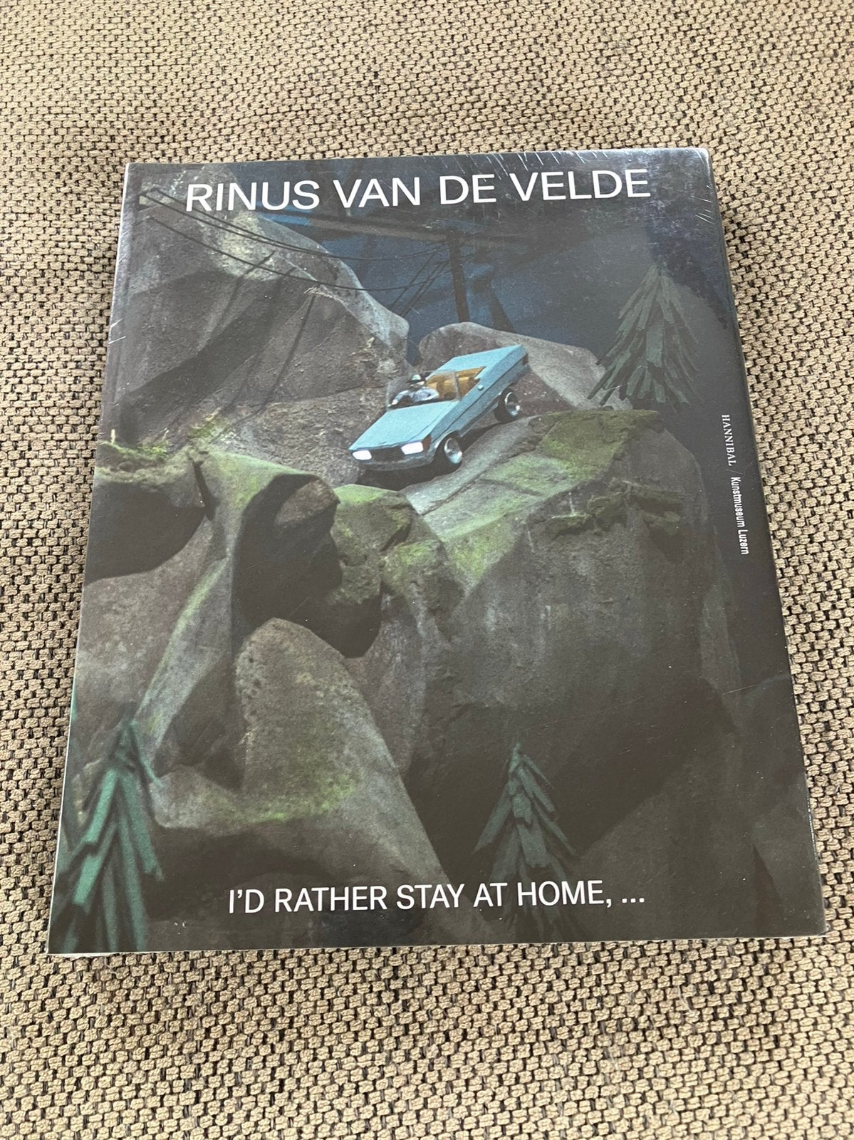 Uitverkocht boek Rinus Van De Velde, Boeken, Ophalen of Verzenden, Fanni Fetzer