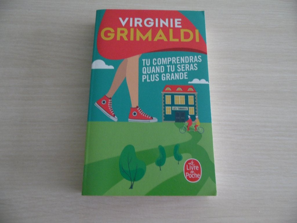 TU COMPRENDRAS QUAND TU SERAS PLUS GRANDE VIRGINIE GRIMALDI, Europa overig, Ophalen of Verzenden, Zo goed als nieuw, Virginie Grimaldi