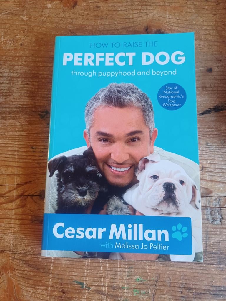 How to raise the perfect dog - Cesar Millan, Boeken, Ophalen of Verzenden, Zo goed als nieuw