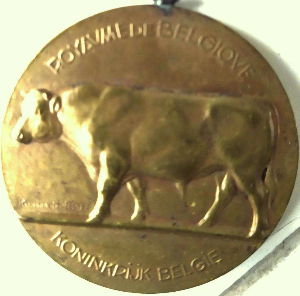 MÉDAILLES, Enlèvement ou Envoi, Autres, Ruban, Médaille ou Ailes