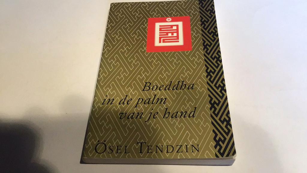 Boeddha inde palm van je hand(d8), Boeken, Ophalen of Verzenden, Gelezen, Achtergrond en Informatie