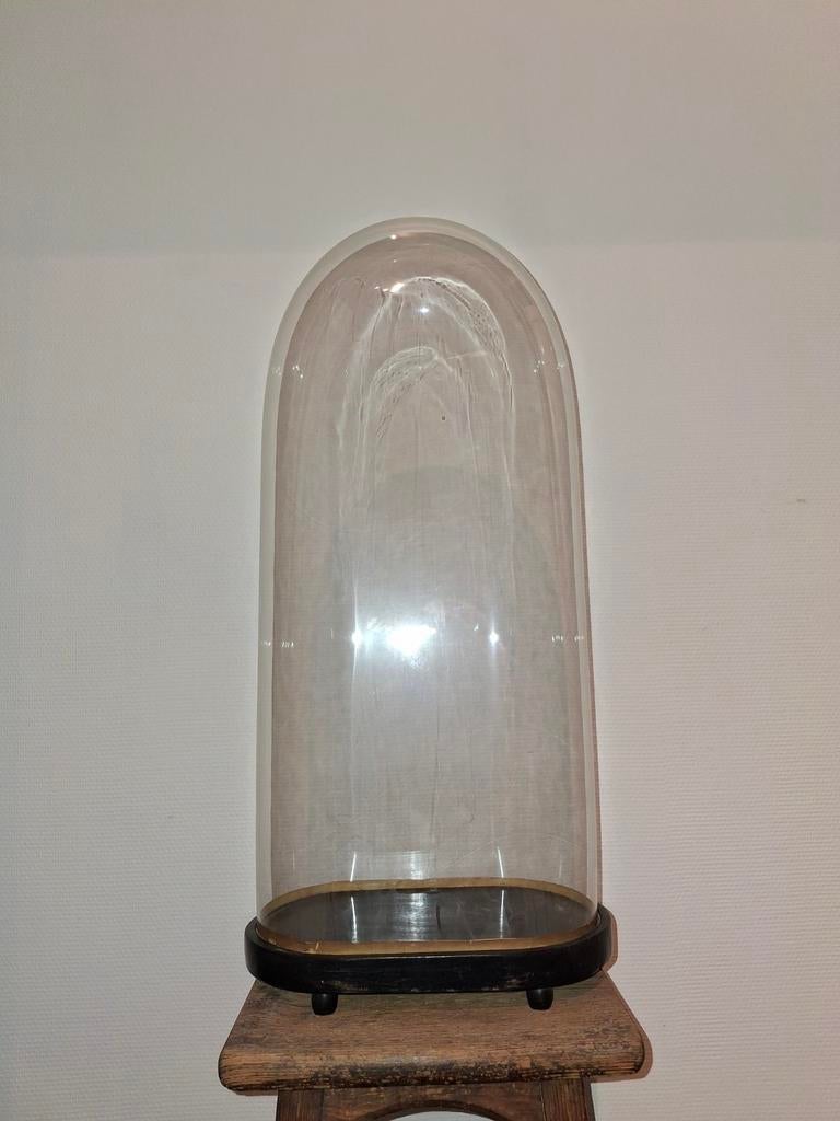 Oude ovalen glazen stolp 60cm hoog 28cm br 15cm diep, Ophalen