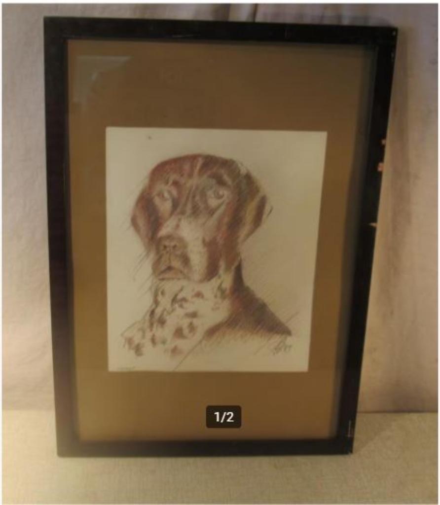 Beau dessin 'Tarzan le Chien' - signé, Enlèvement ou Envoi