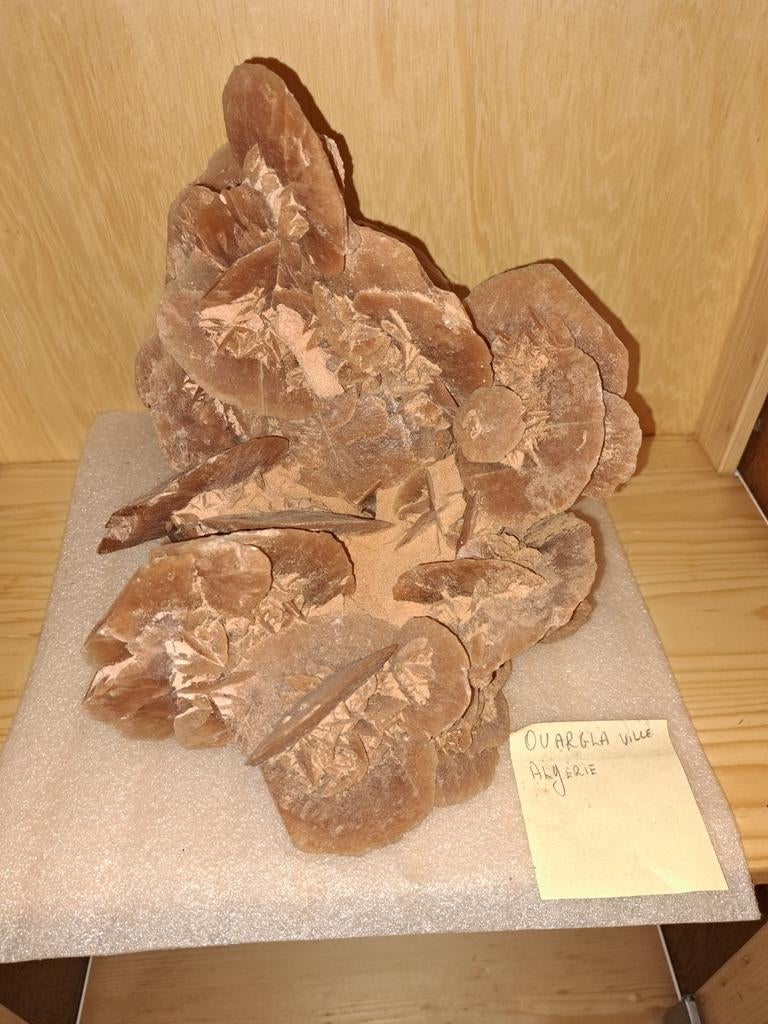 LA ROSE DES SABLES, Enlèvement