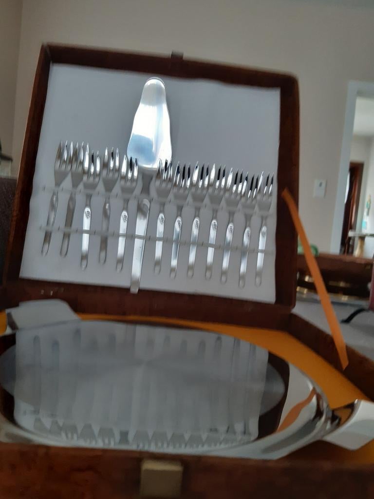 Taartplateau met taartschep en 12vorkjes in opberg koffer., Huis en Inrichting, Ophalen, Zo goed als nieuw, Overige materialen