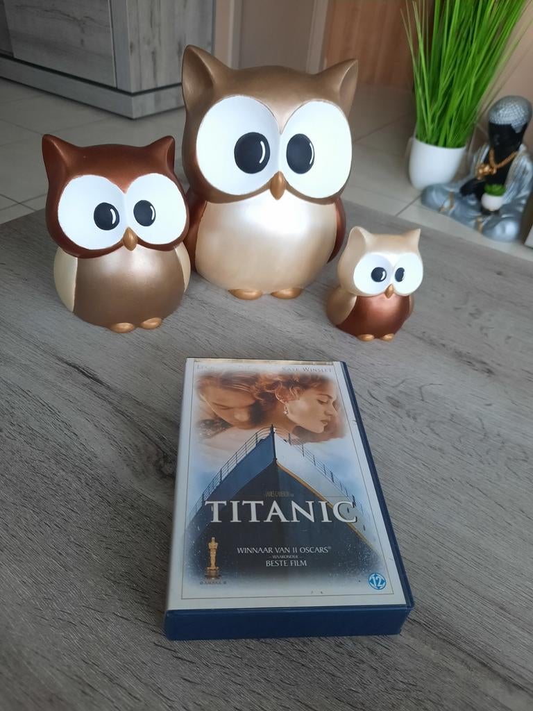 VHS Titanic, CD & DVD, VHS | Film, Enlèvement ou Envoi