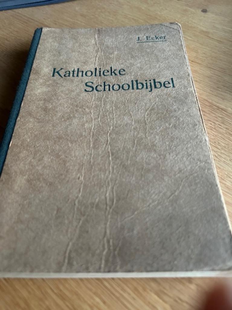 KATHOLIEKE SCHOOLBIJBEL. 1934 boek retro, Boeken, Ophalen of Verzenden, Gelezen