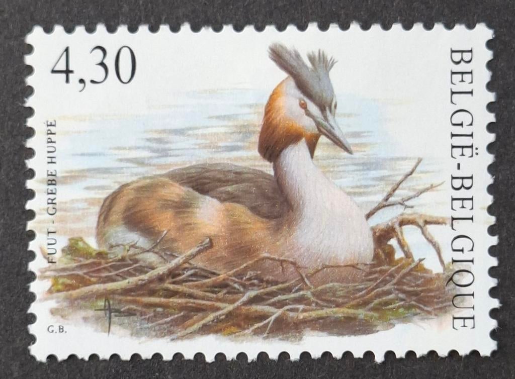 Belgique : COB 3538 ** Oiseaux 2006., Sans timbre, Neuf, Enlèvement ou Envoi, Non oblitéré