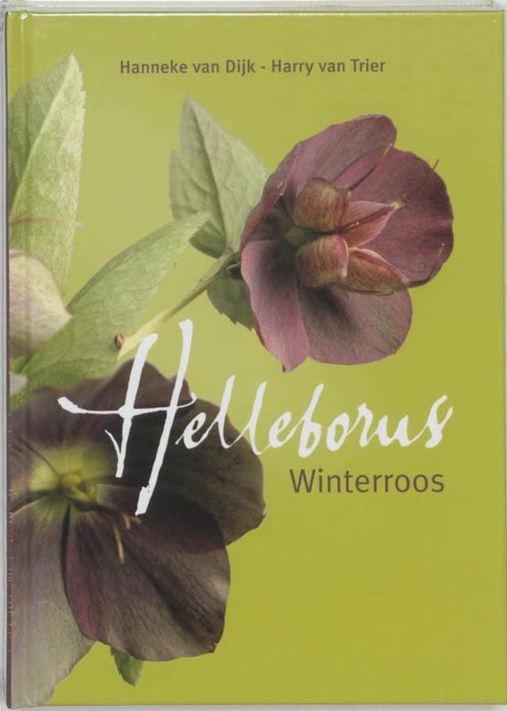 Helleborus - Winterroos, Ophalen of Verzenden, Gelezen