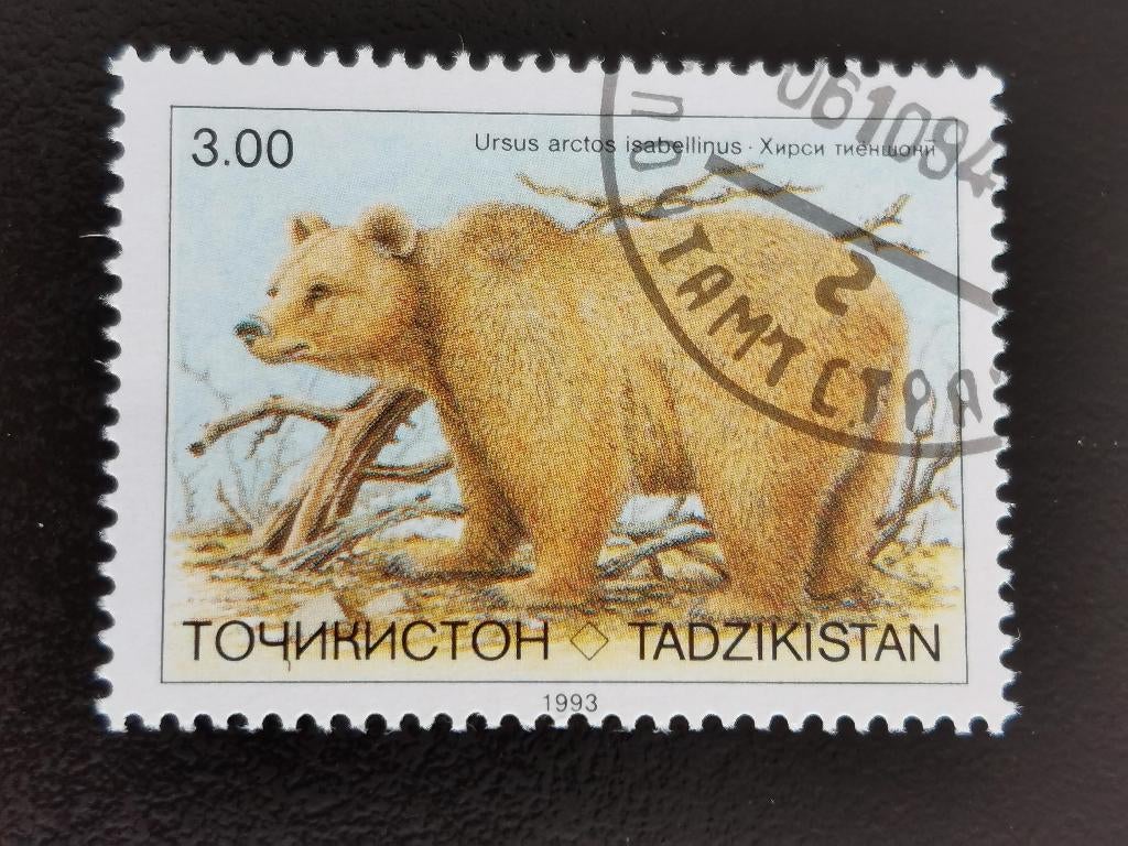 Tadzjikistan 1993 - beer, Isabelbeer, Ophalen of Verzenden, Gestempeld, Centraal-Azië