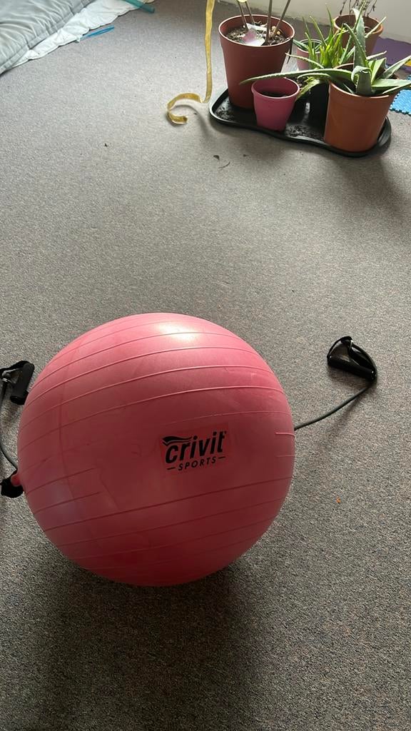 Sportbal fitness, Enlèvement, Utilisé