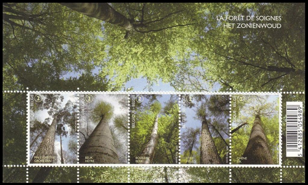 BL172 Timbres Les arbres de la forêt de Soignes, Envoi, Timbre-poste, Neuf
