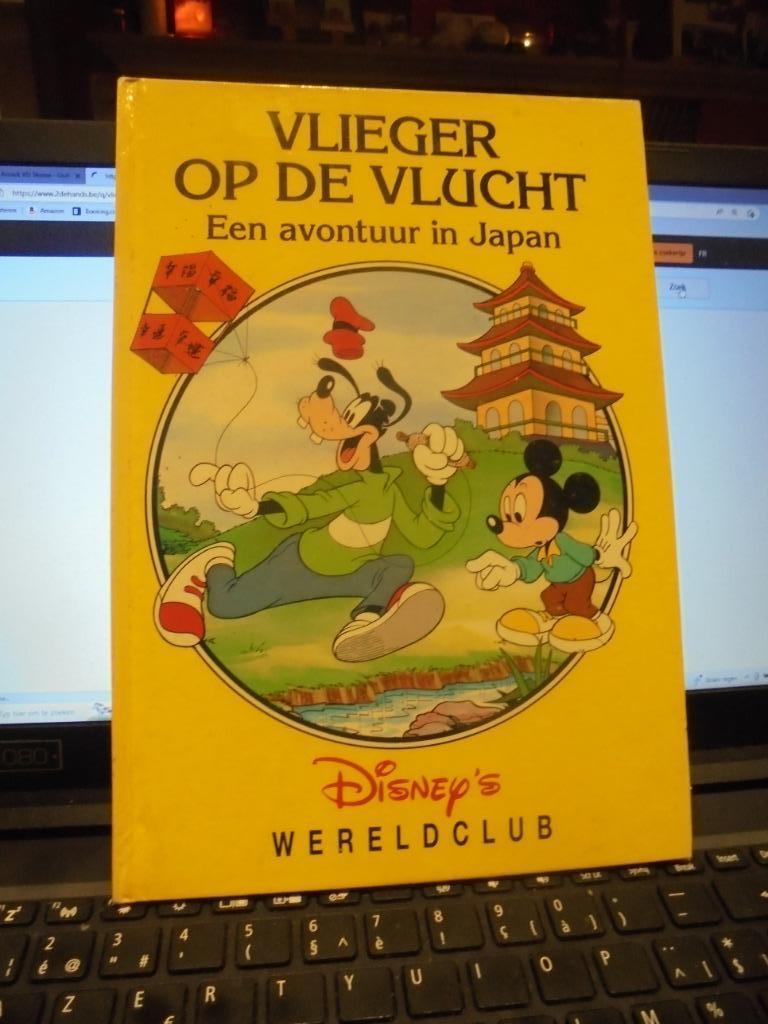 Vlieger op de vlucht, Boeken, Ophalen of Verzenden, Zo goed als nieuw, Fictie algemeen